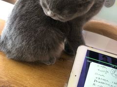 -平行世界·猫咖(首经贸店)