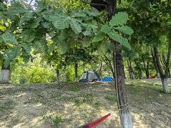 -长白岛森林公园