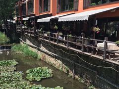 -Local泰莲庭(虹鳟鱼店)