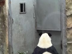 -青藏高原野生动物园