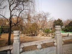 -莲湖公园