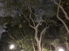 -九龙公园
