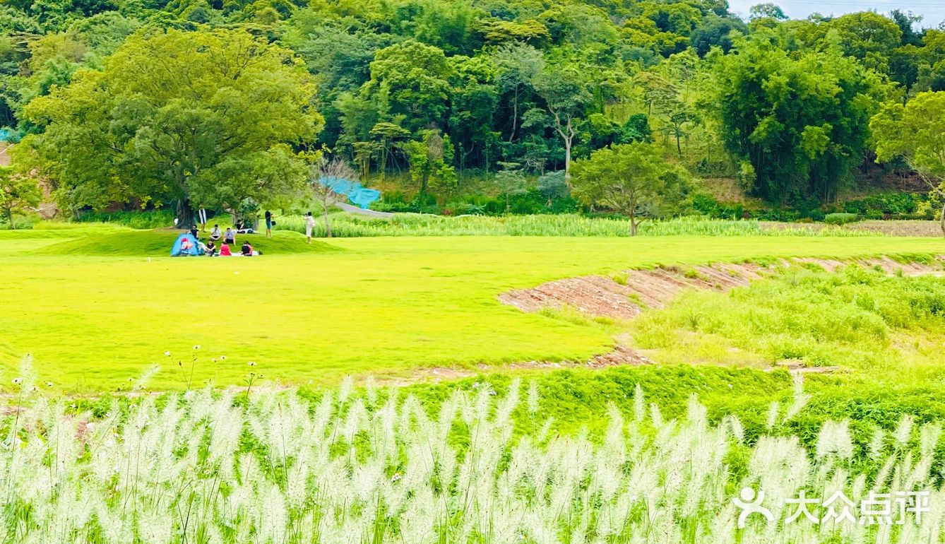 这里不是国外，这里不是省外，这里是深圳盐田！