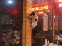 -三中高皇羊肉馆