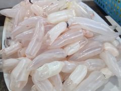 鲮鱼泡-章记正宗南岗鱼蛋火锅