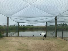-盐城丹顶鹤湿地生态旅游区