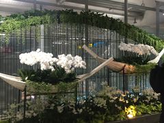 -曼谷素万那普国际机场