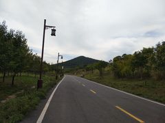 -习家池
