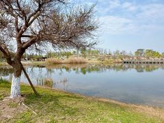 -白鹭湾湿地公园