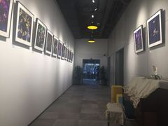 -五峰书院(南洋泾路店)