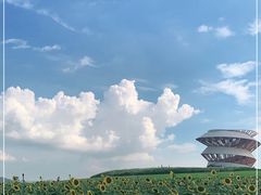 -光明小镇欢乐田园