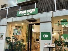 -VEGA VEGA 我行我素