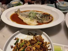 清蒸鲈鱼-鸭匠食府·挂炉烤鸭·新京菜(阜成路店)