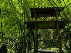 -三峡人家风景区