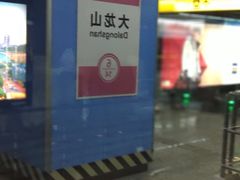 -大龙山(地铁站)