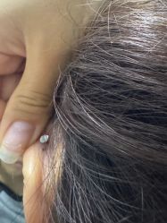 -苏针艺纹身·穿孔饰品