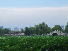 -长春市南湖公园