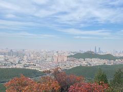 -佛慧山