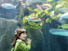 -福州罗源湾海洋世界旅游区