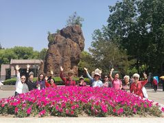 -林曦明现代剪纸艺术馆