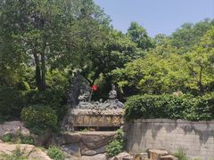 -石老人观光园