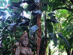 -厦门日月谷温泉渡假村