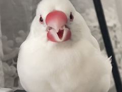 -bobo高端证件照工作室(三元桥店)