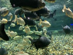 -成都浩海立方海洋公园