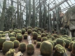 -南山植物园
