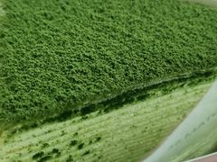 -36抹茶·千层与鲜果茶(欢乐海岸店)