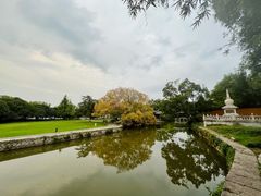 -江心屿景区