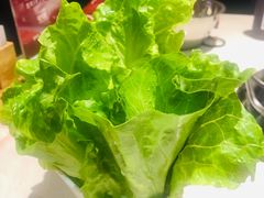 -浩爷羊蝎子火锅(望京店)