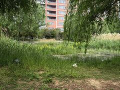 -中国翰园碑林