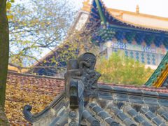 -宝通禅寺