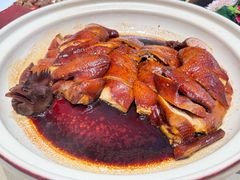-侨美食家·40年地道粤菜(珠江新城店)