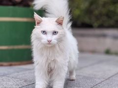 -中山公园音乐堂