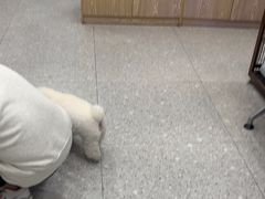 -四月宠物医院·猫专科·心脏专科·内科(转塘店)