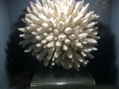 -天津自然博物馆