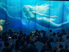 -海合安成都极地海洋公园