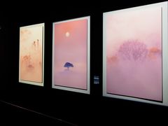 -罗红摄影艺术馆