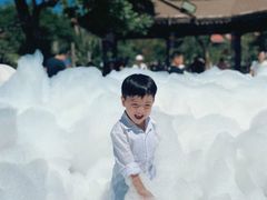 -灵玲国际马戏城