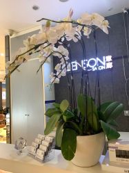-意廊 Hair Salon