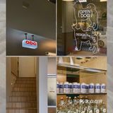 广州新店|开门放狗喝咖啡.芳村可爱好啡店