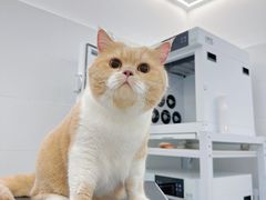 -comecome来吧宠物(奥克斯中心店)