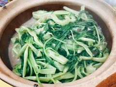 虾酱通菜-汤氏美食台山水步特色黄鳝饭(龙津东路店)