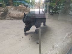 -鄂尔多斯野生动物园