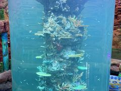 -青岛嘉年华主题乐园