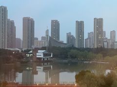 -都喜天丽富都青枫苑酒店-青枫小筑