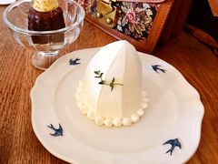 白色巨塔-Ginko银子(青龙街店)