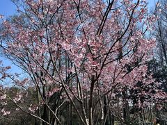 -浙江省博物馆(孤山馆区)